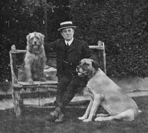 A. Neil Lyons