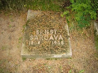 Ernst Peterson-Särgava