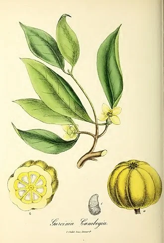 Gilbert Thomas Burnett