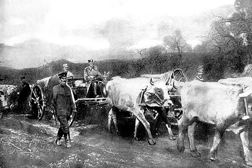 King Peter on a cart pulled by oxen