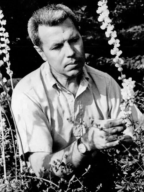 Lee Wayne Lenz