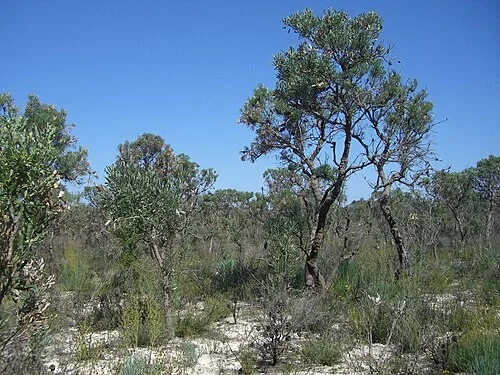 Moore River National Park