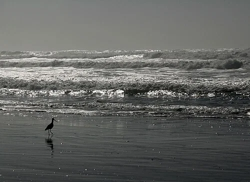 ocean