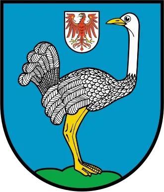 Strauss