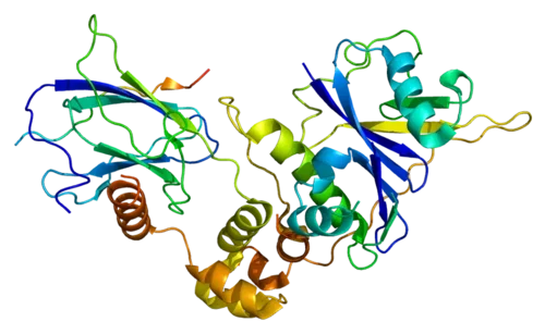 VHL